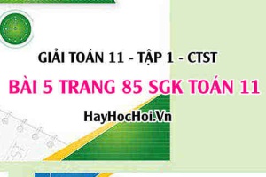 Giải bài 5 trang 85 Toán 11 tập 1 SGK Chân trời sáng tạo